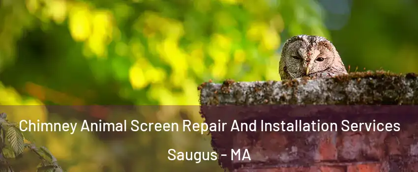  Chimney Animal Screen Repair And Installation Services Saugus - MA