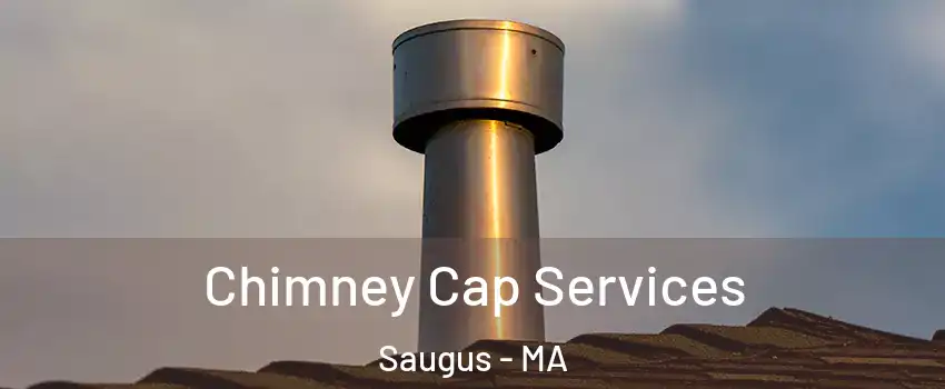  Chimney Cap Services Saugus - MA