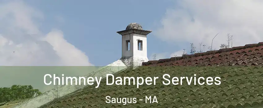  Chimney Damper Services Saugus - MA