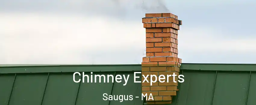 Chimney Experts Saugus - MA