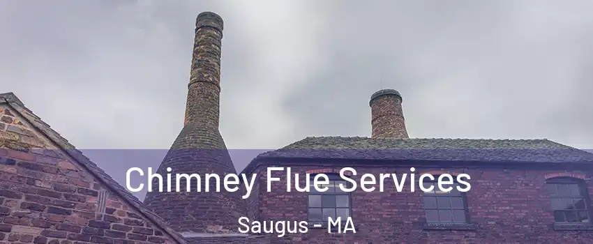  Chimney Flue Services Saugus - MA
