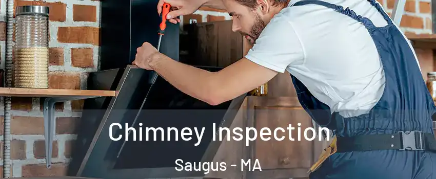  Chimney Inspection Saugus - MA