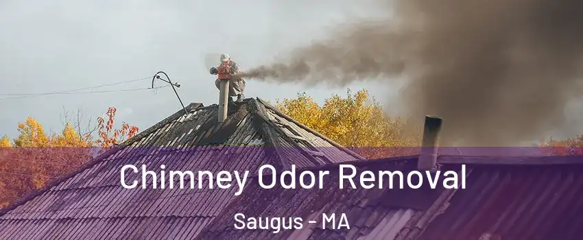  Chimney Odor Removal Saugus - MA