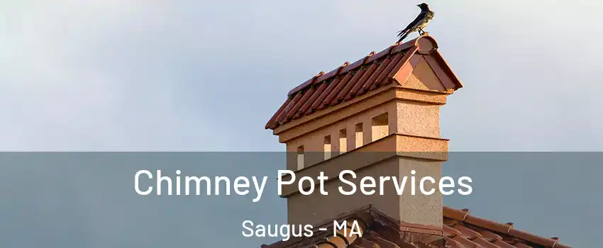  Chimney Pot Services Saugus - MA