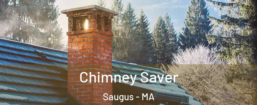  Chimney Saver Saugus - MA
