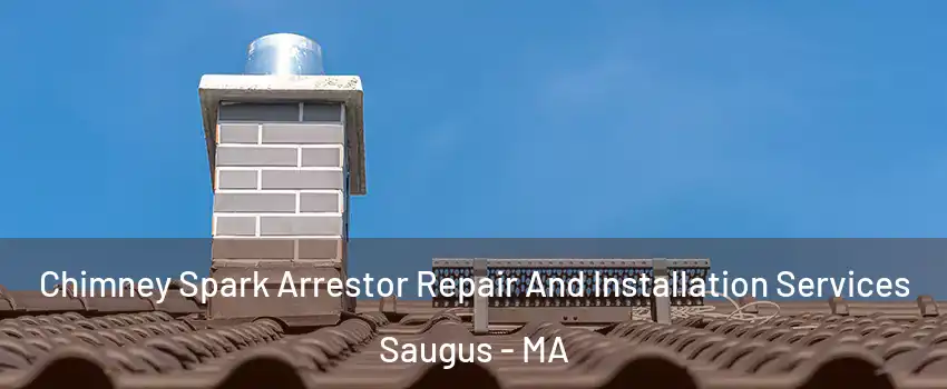  Chimney Spark Arrestor Repair And Installation Services Saugus - MA