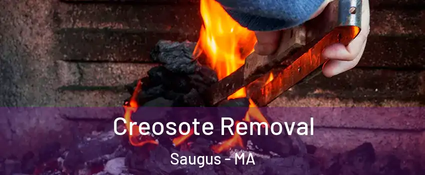  Creosote Removal Saugus - MA
