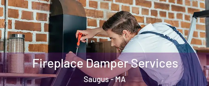  Fireplace Damper Services Saugus - MA