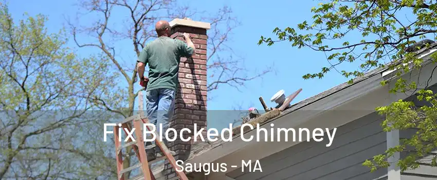  Fix Blocked Chimney Saugus - MA