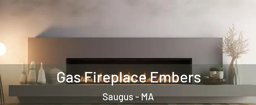  Gas Fireplace Embers Saugus - MA
