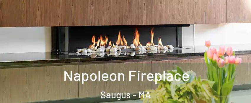  Napoleon Fireplace Saugus - MA