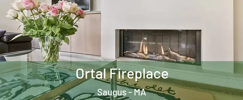 Ortal Fireplace Saugus - MA
